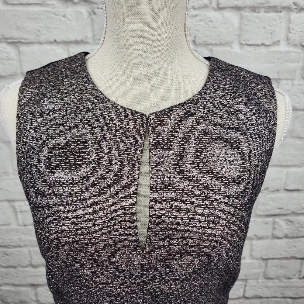 DVF Diane Von Furstenberg Yvette Metallic Lined Dress Size 6 - Picture 2 of 12